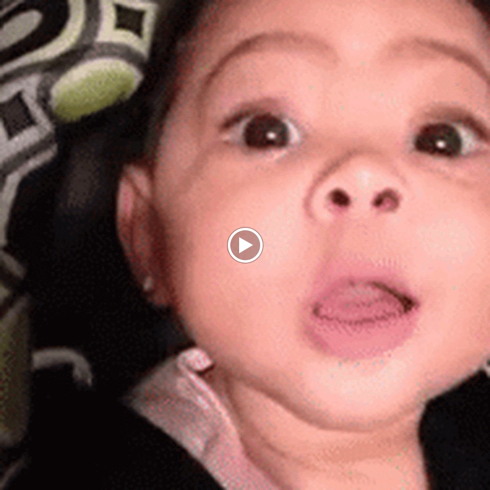 Meet your Posher, Lily